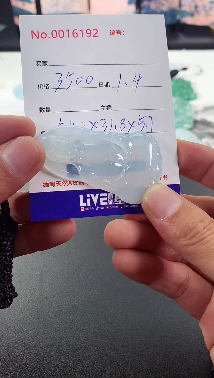 颈饰未镶嵌翡翠素衣