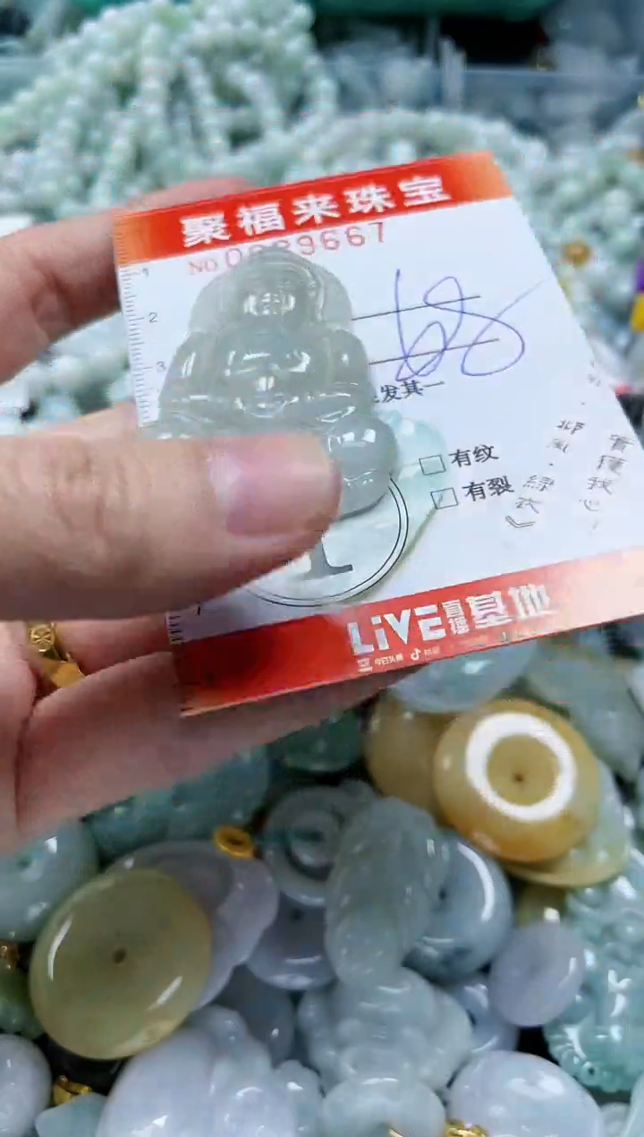 【闪购商品】翡翠颈饰未镶嵌闪购0029667