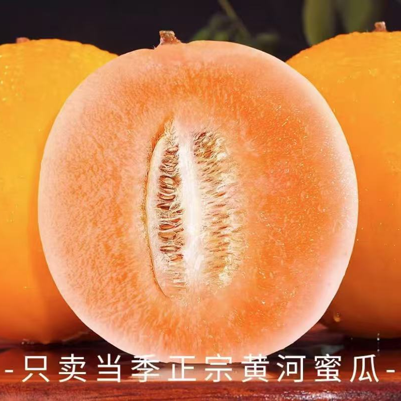 正宗甘肃民勤蜜瓜香甜多汁新鲜当季水果