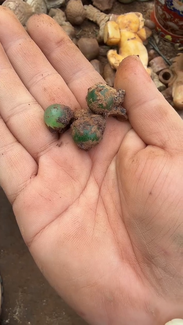 未镶嵌岫岩河磨玉（透闪石质玉）挂件未**圣岫岩河磨玉