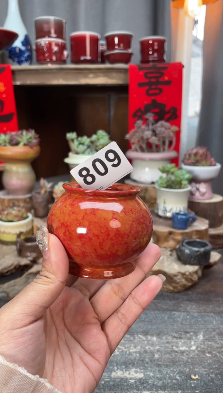 【闪购商品】摆件809知木小芳花盆