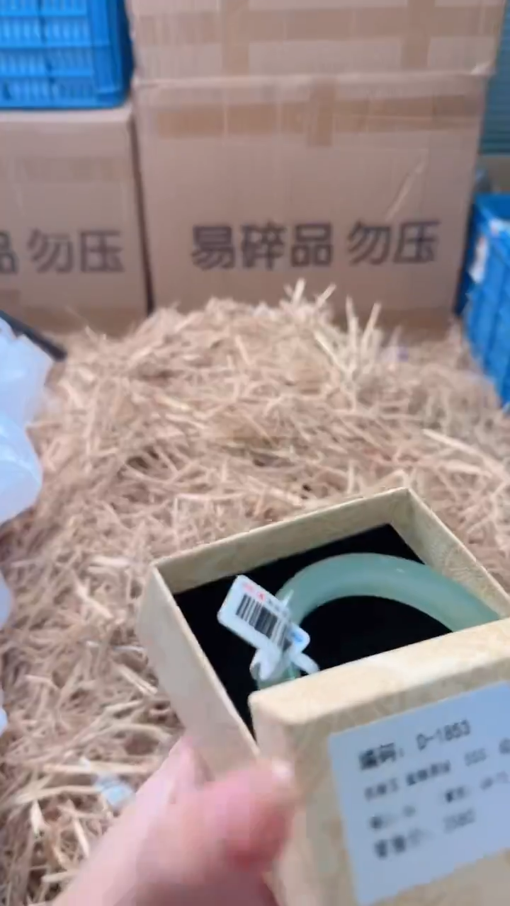 未镶嵌手镯石英质玉D-1853