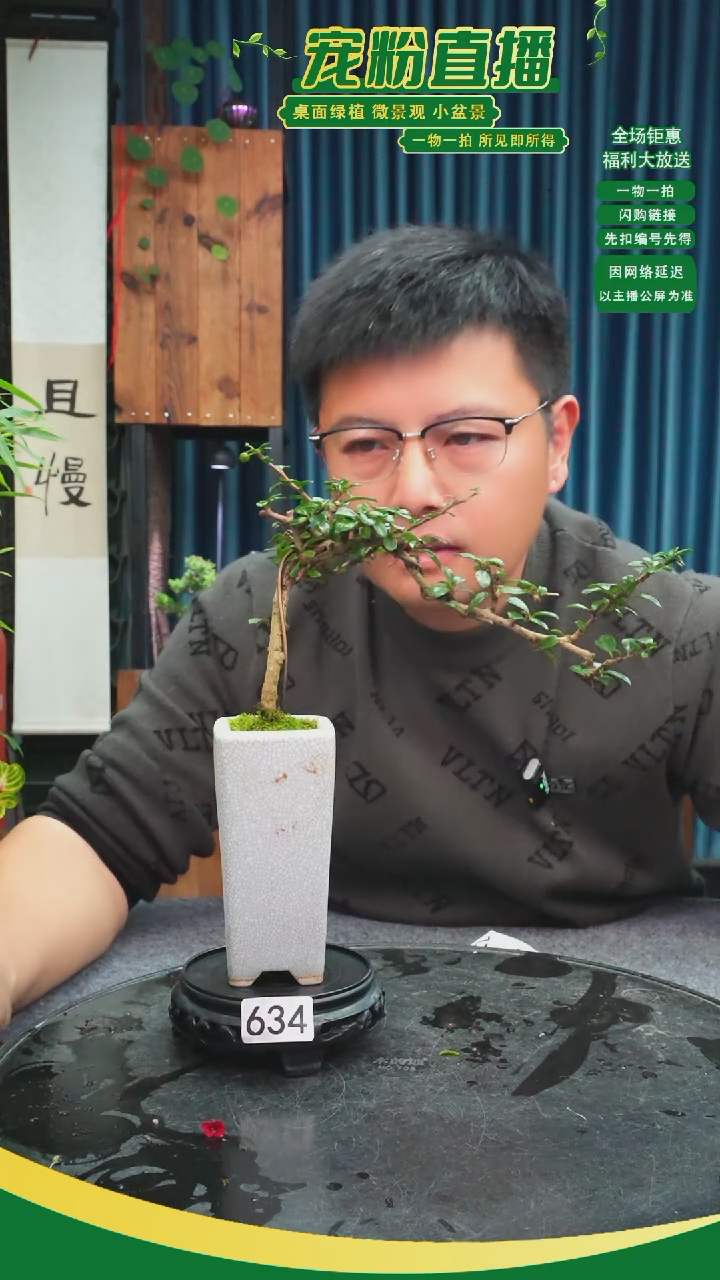 无花朵阿*苔藓微景观634号