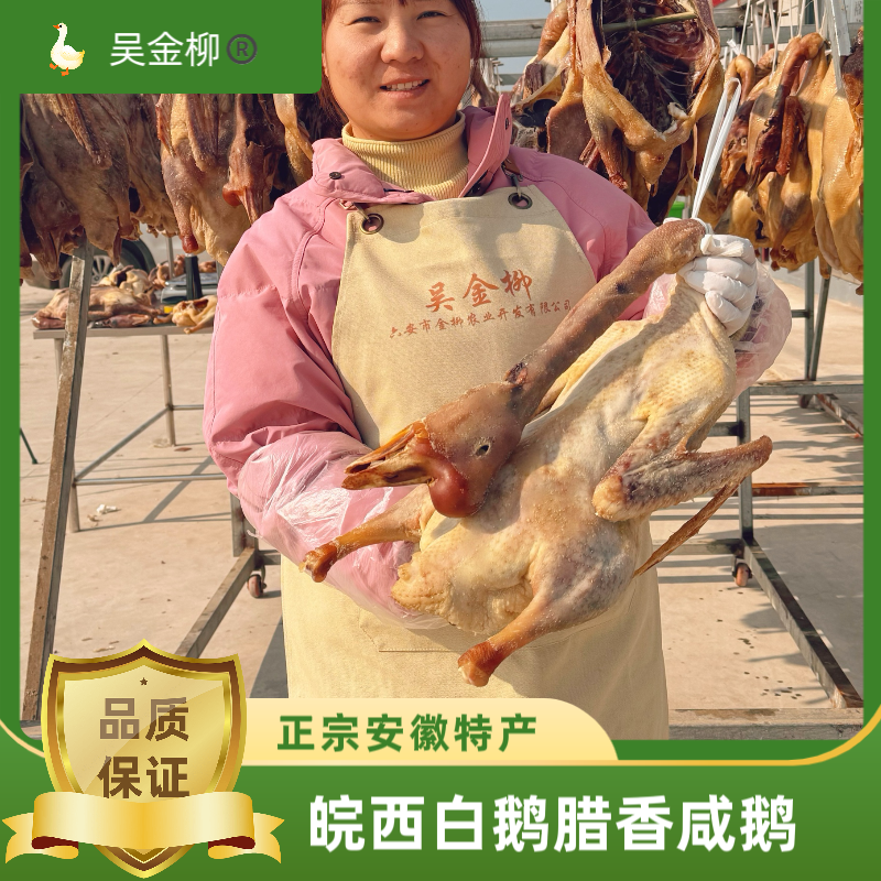 一物一拍六安特产皖西白鹅农家散养食草风干紧实咸鹅整只
