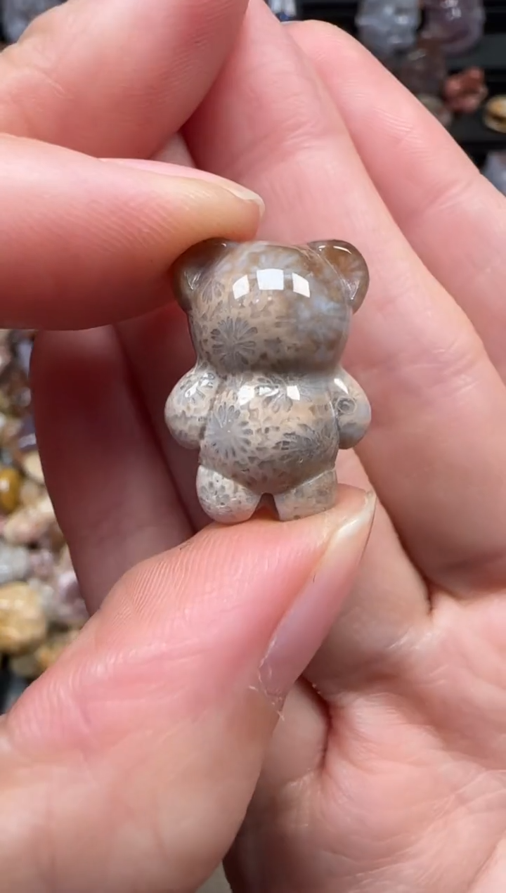 颈饰未镶嵌硅化珊瑚（珊瑚玉）310