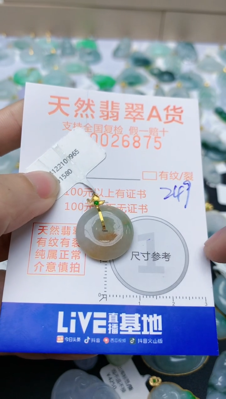 【闪购商品】翡翠颈饰18K金镶嵌天然翡翠A货    249