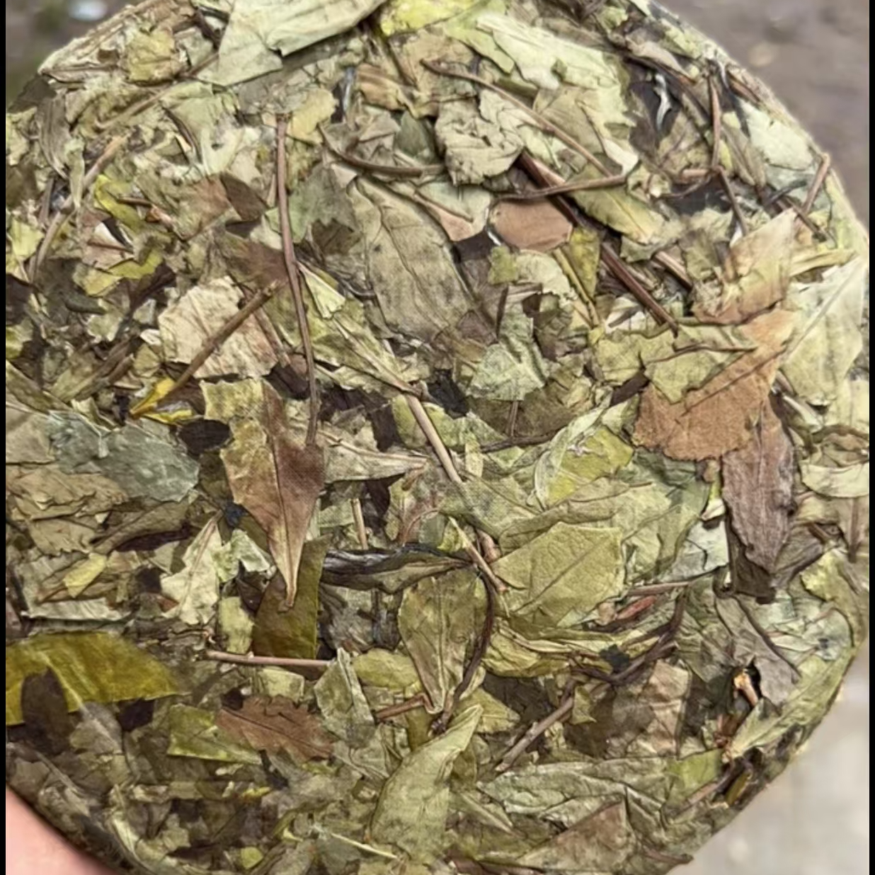 福鼎白茶2021年知青荒野贡眉饼300g（335号）