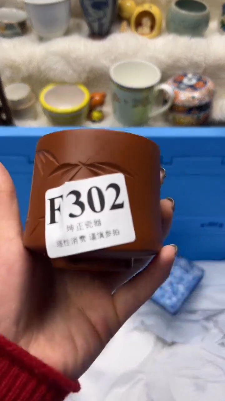 【闪购商品】瓷片         F 302