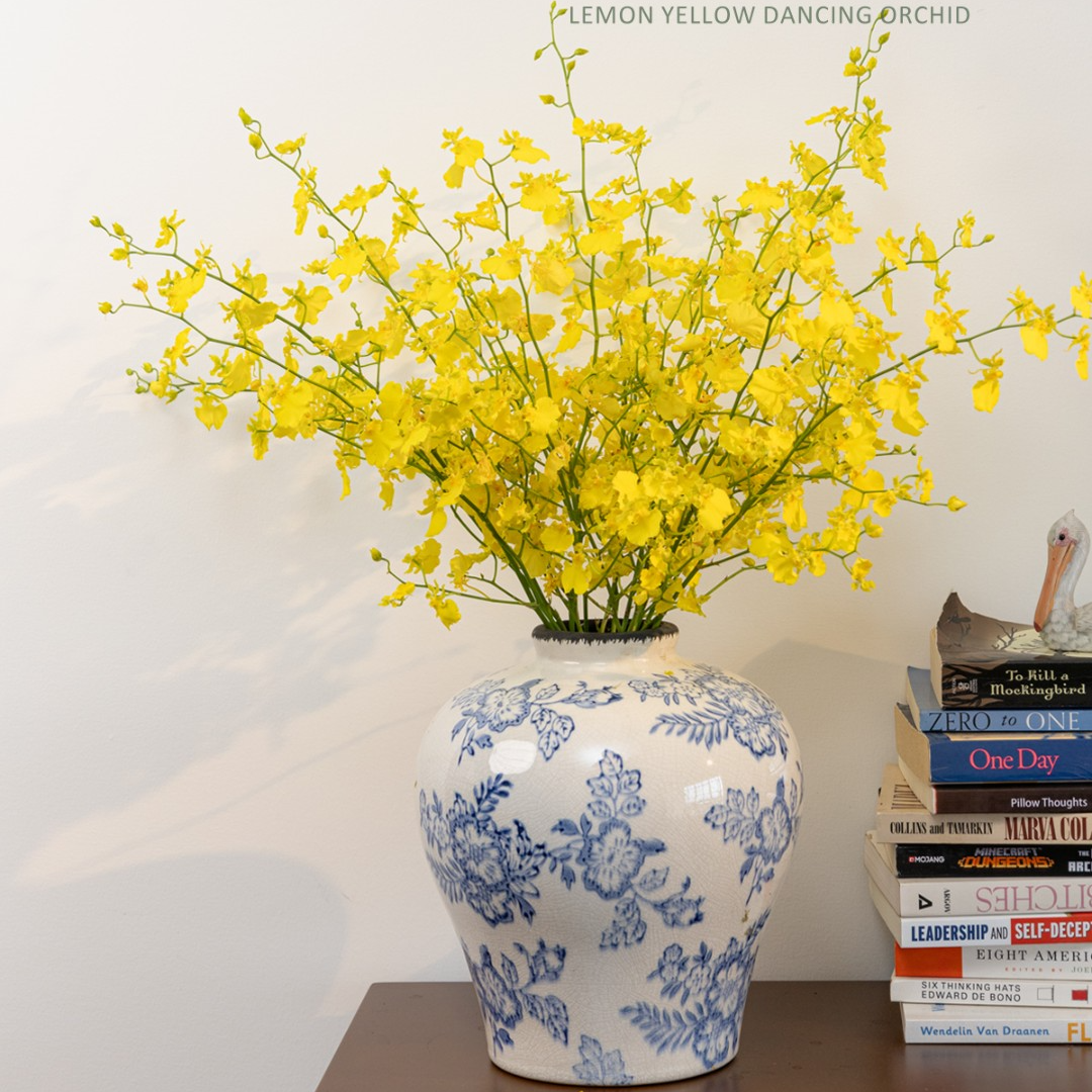 多芬名仕·出口级柠檬黄跳舞兰文心兰鲜切花 源头品质基地鲜采直发