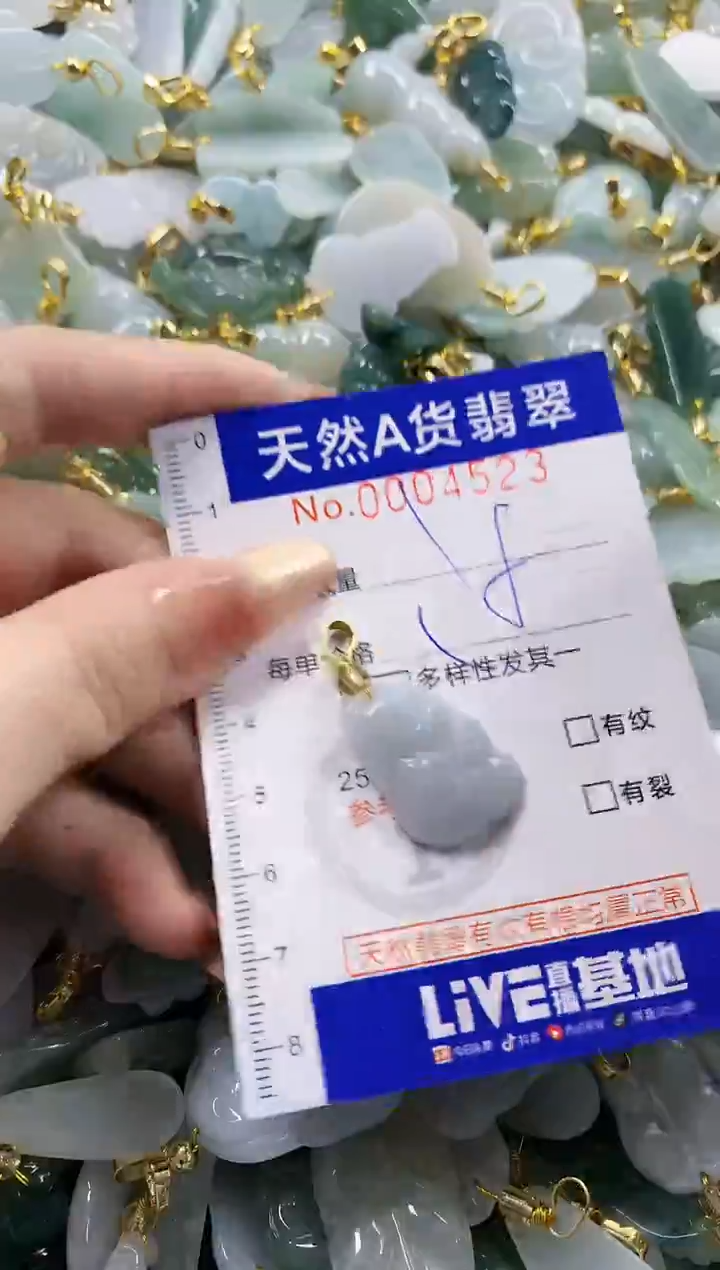 颈饰未镶嵌翡翠天然A货翡翠