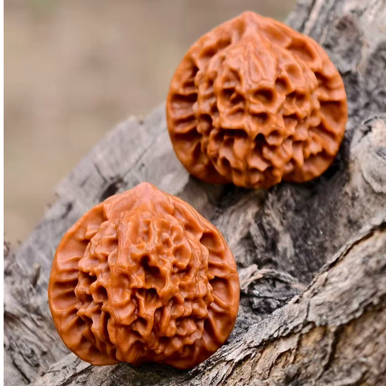 新核下树全品无修龙鳞纹帝王文玩核桃