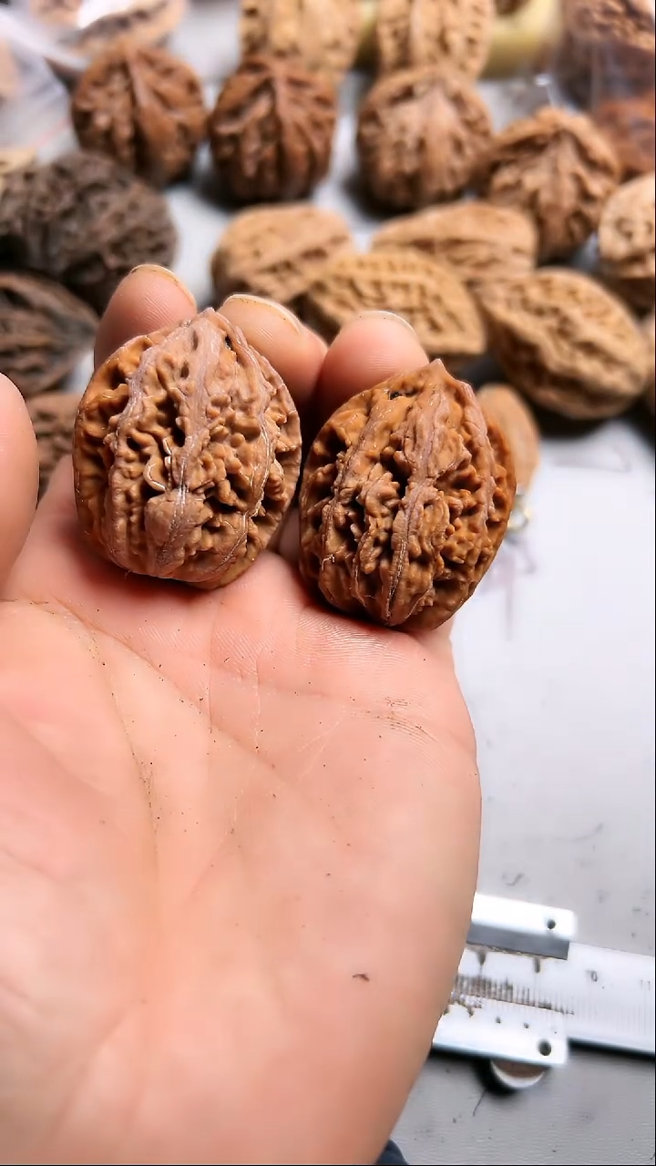 核桃东北野生大秋子4