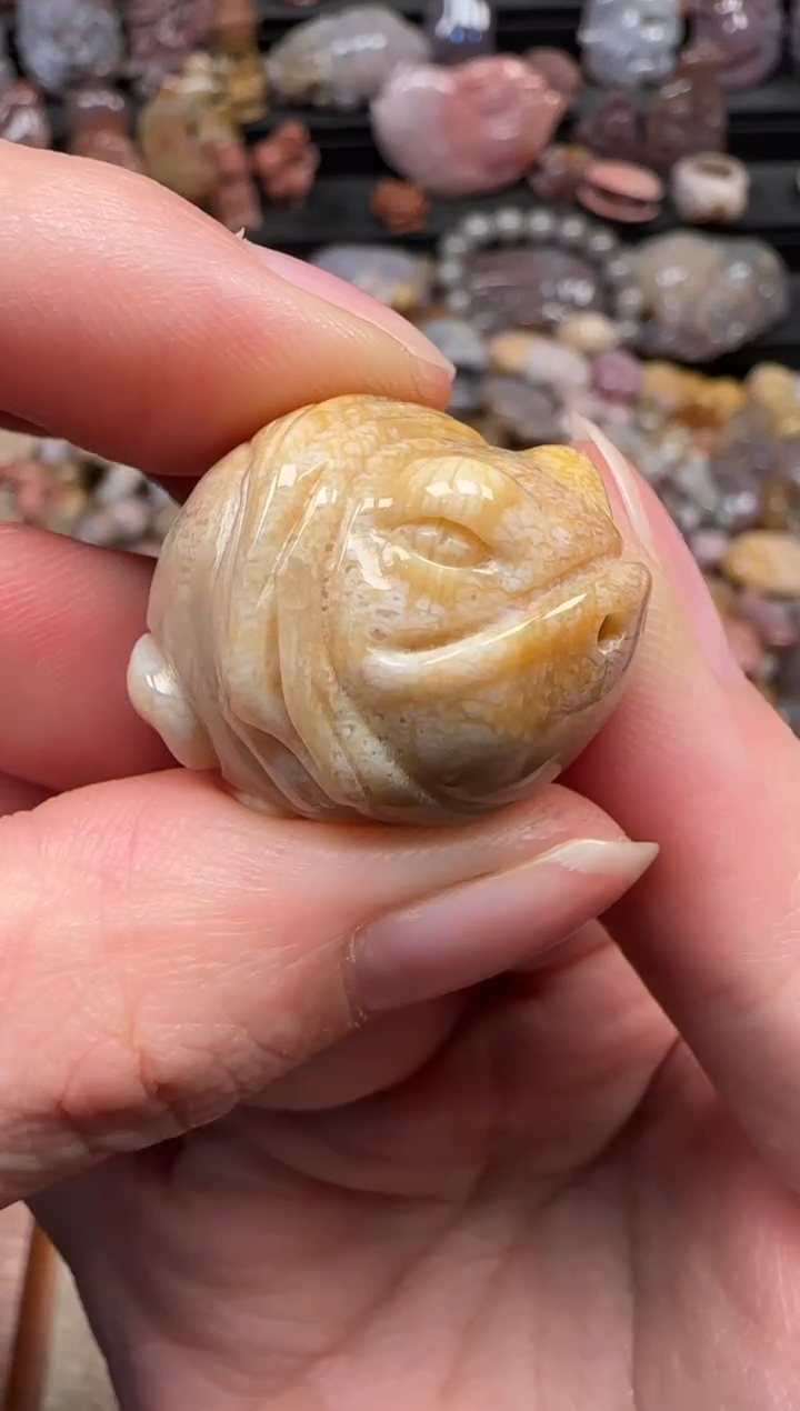 颈饰未镶嵌硅化珊瑚（珊瑚玉）881