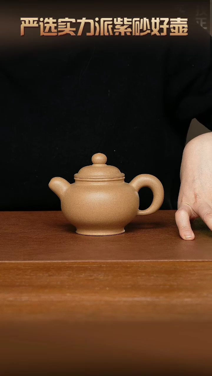 【闪购商品】紫砂茶壶AT4634陆琴华道洪掇只