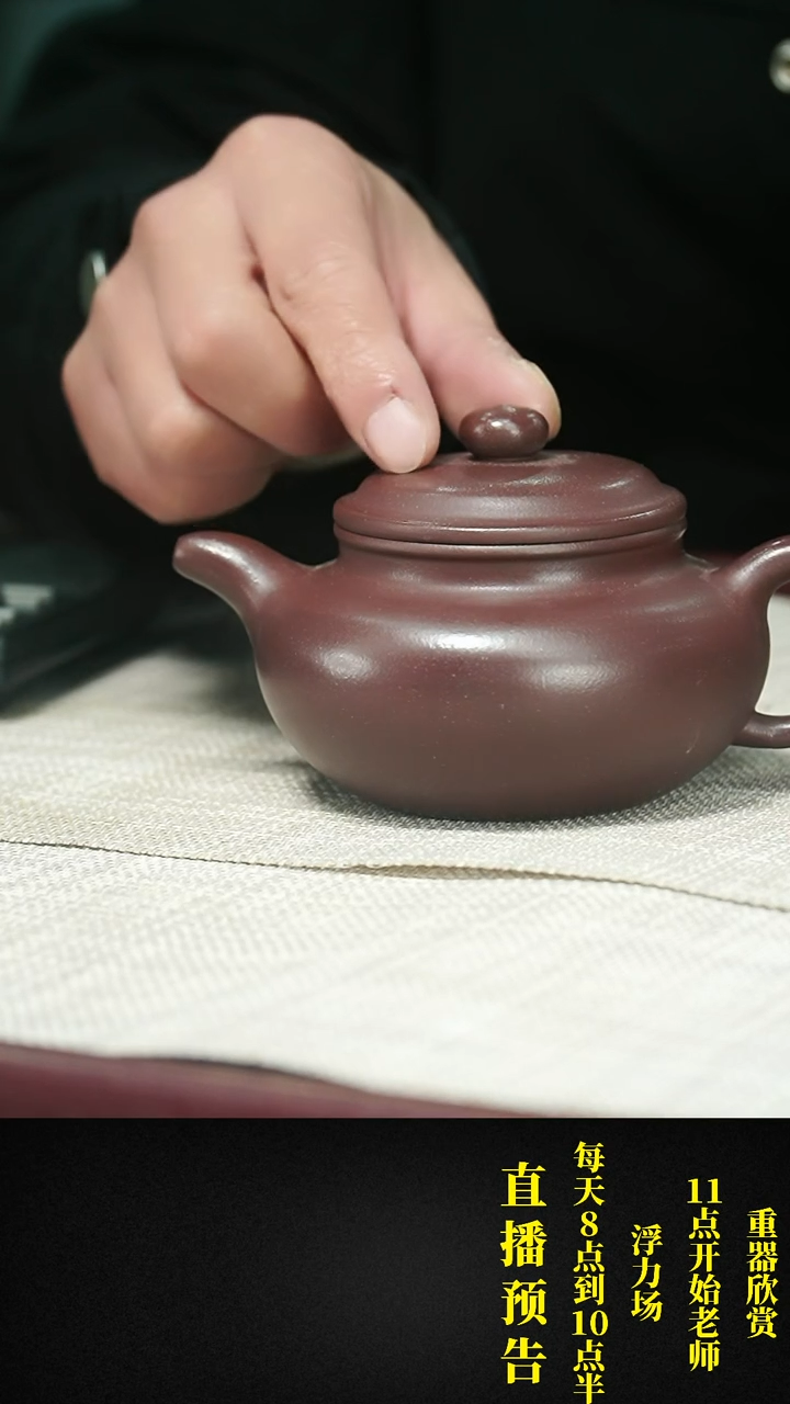 【闪购商品】紫砂茶壶紫砂 茶壶13