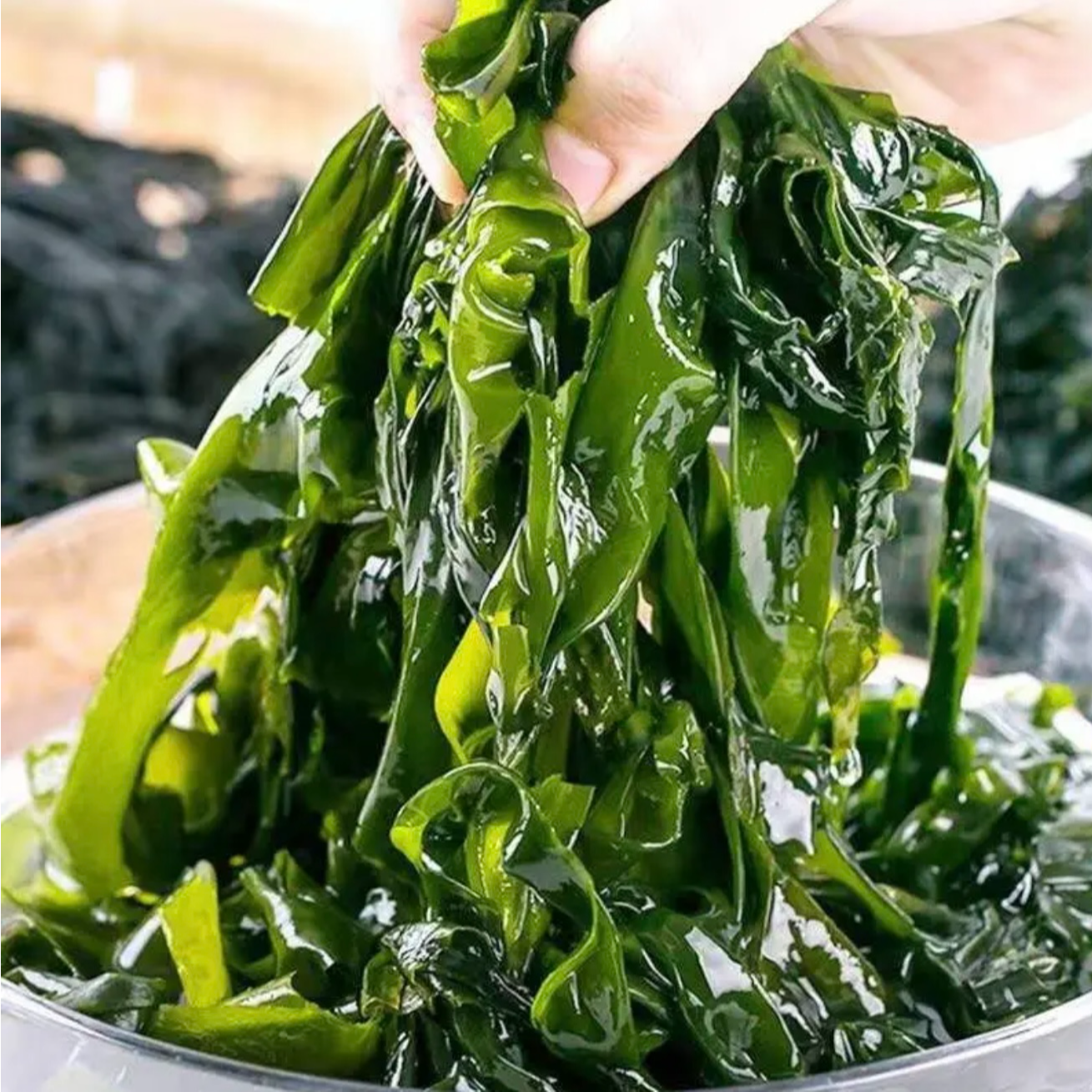 少盐裙带菜 大连新鲜头茬裙带菜 带箱5斤 精选盐渍海带菜
