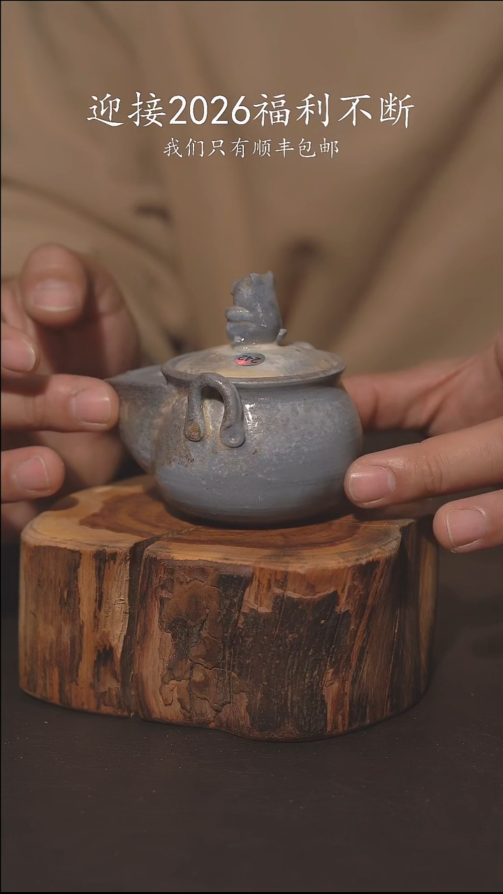 老柴叶烧不退不换242