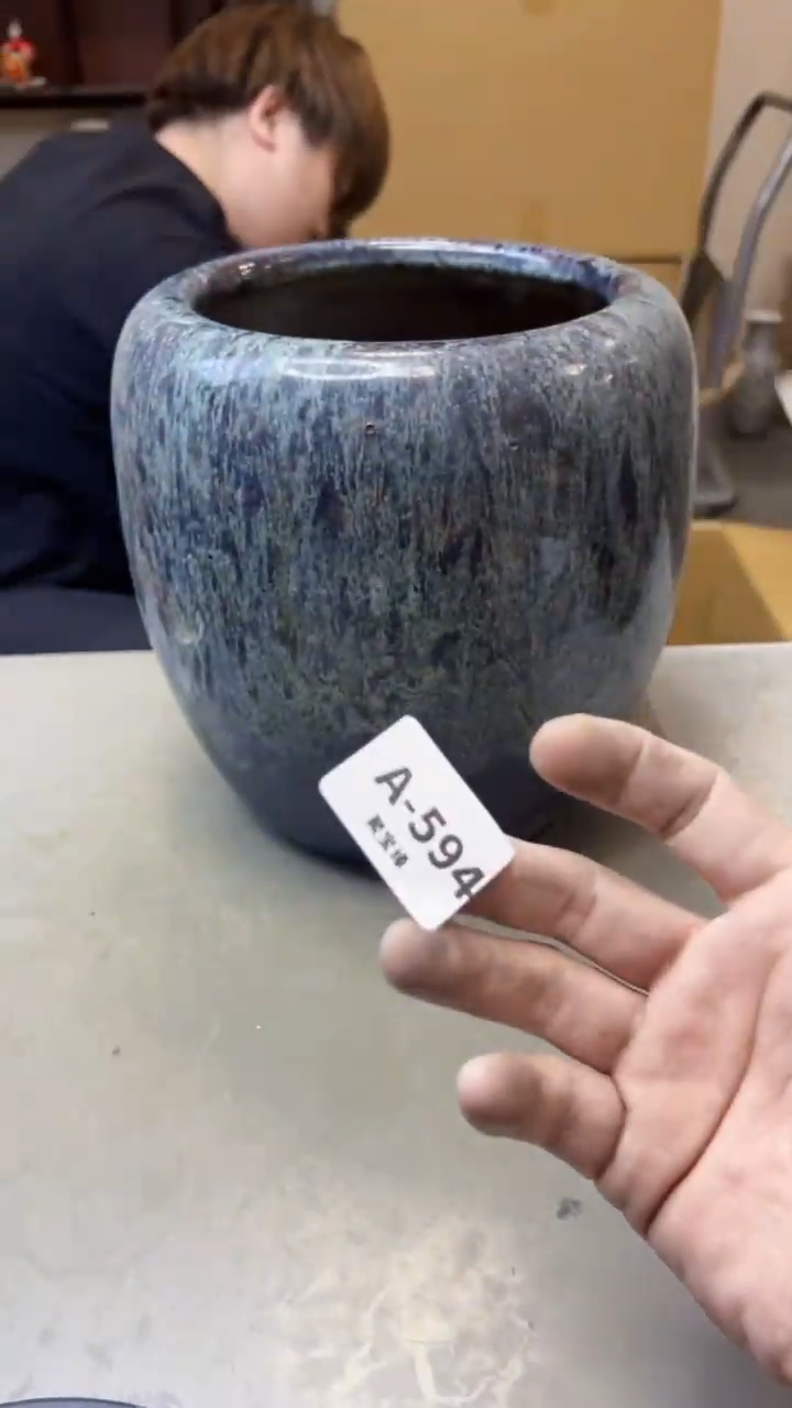 【闪购商品】瓷片594两单聚宝缘海淘精选