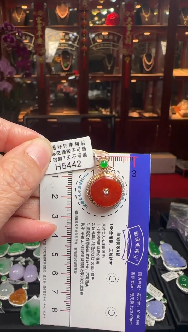 【闪购商品】翡翠颈饰18K金镶嵌H5442红翡平安扣