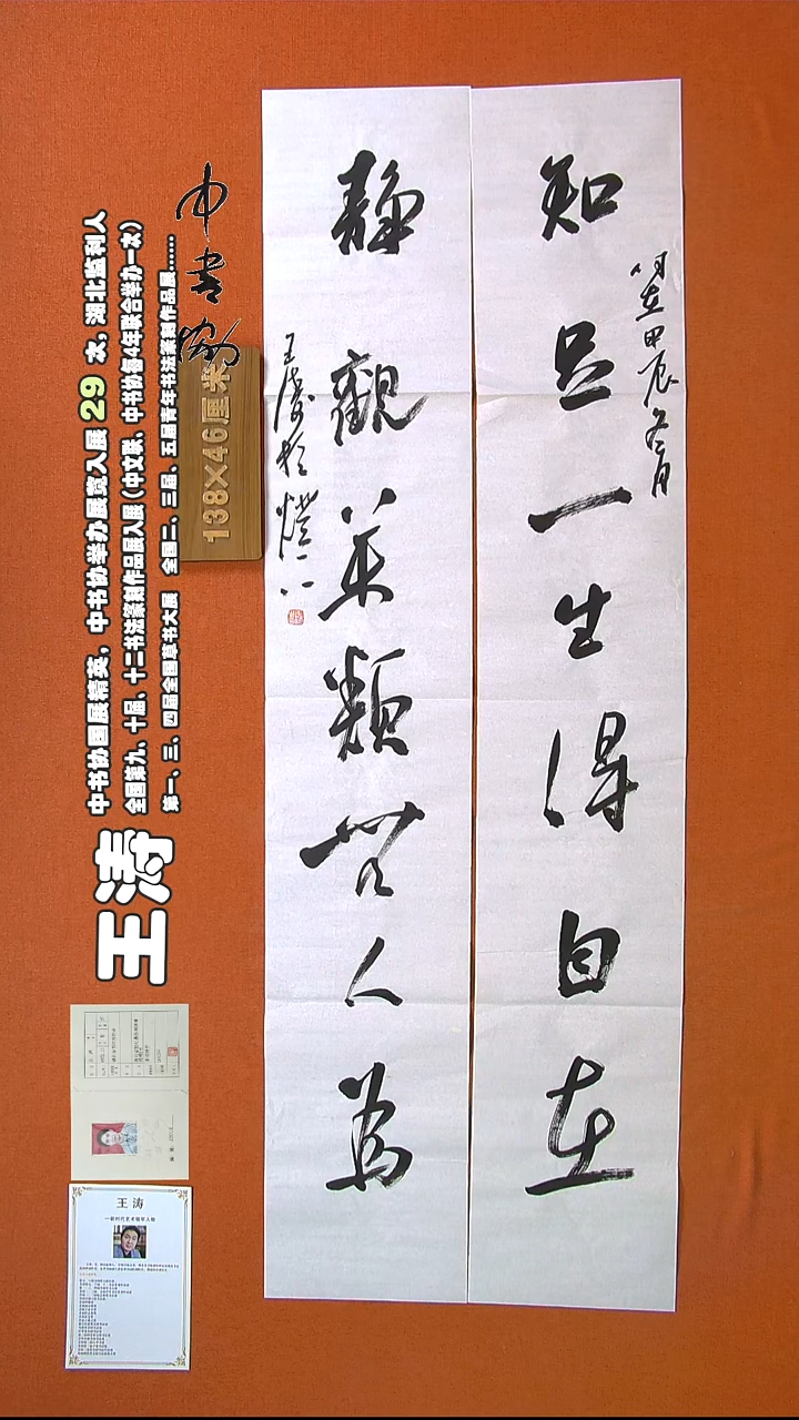 【闪购商品】书法394王涛书法作品