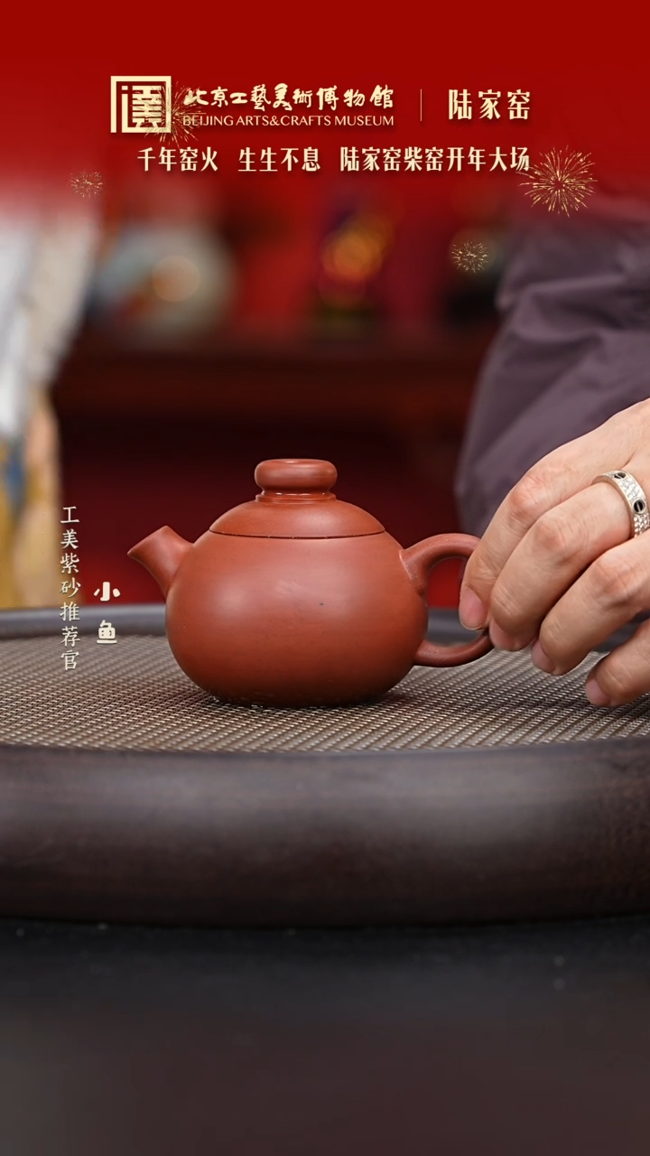 【闪购商品】紫砂茶壶105  黑疾星紫砂壶