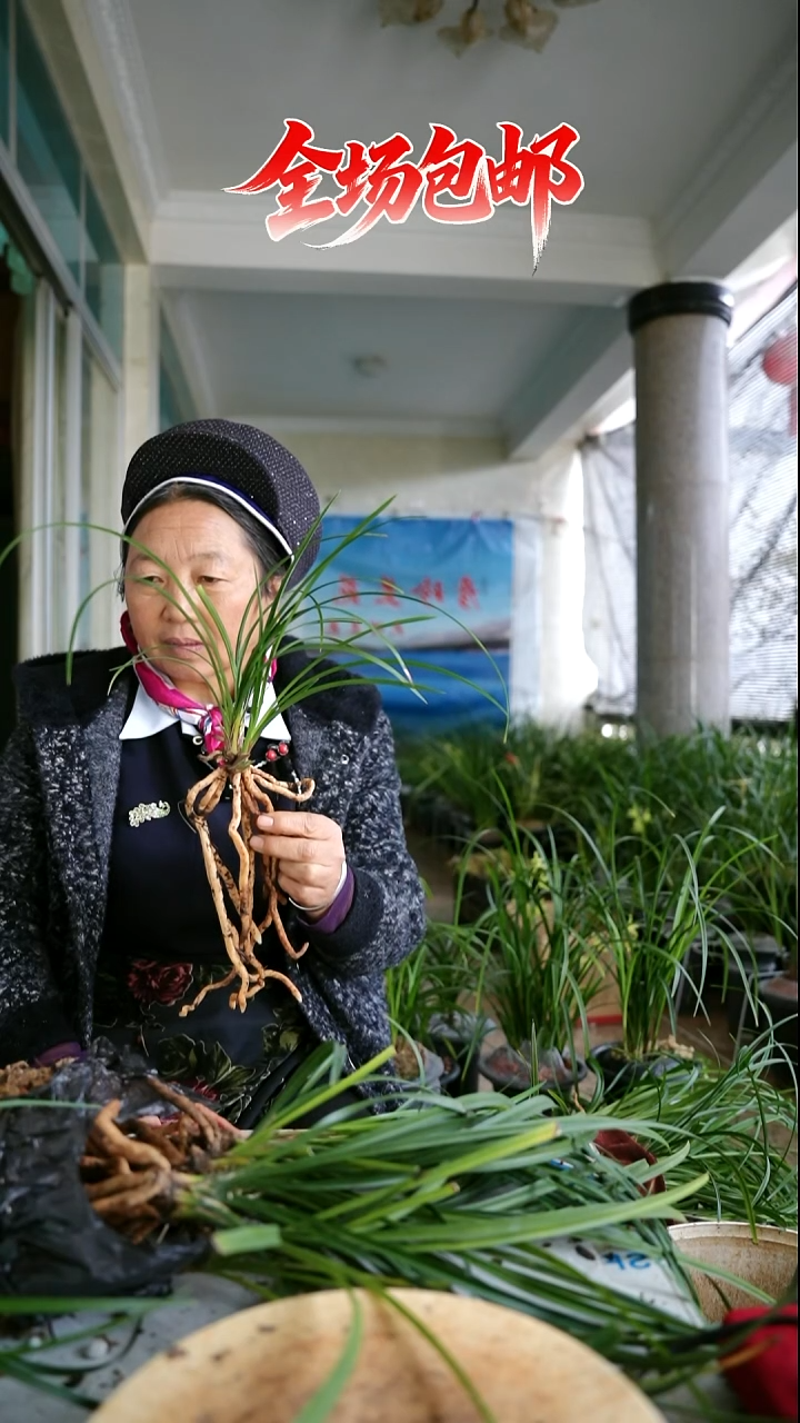 当前无花栽培后可以开花粉荷