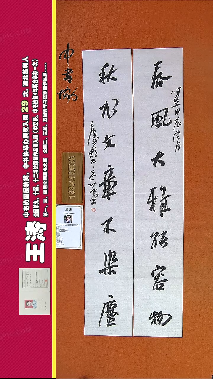 【闪购商品】书法202E王涛书法作品