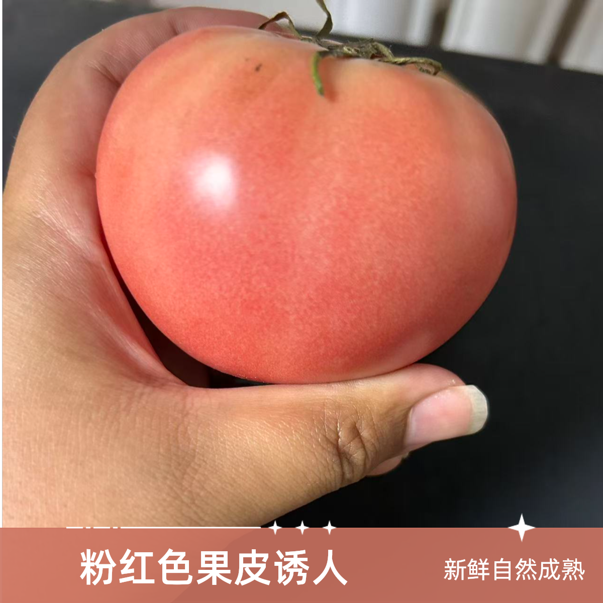 新鲜现摘西红柿3斤天津市