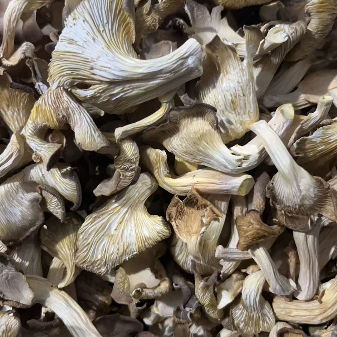 新货秀珍菇煲汤炒菜营养食用干菌菇