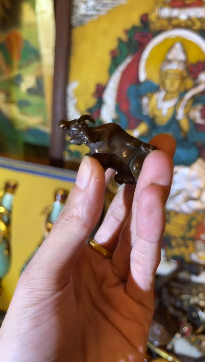 11小七甄选所见及所得