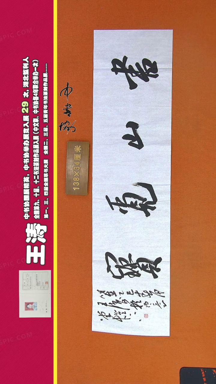 【闪购商品】书法215王涛书法作品