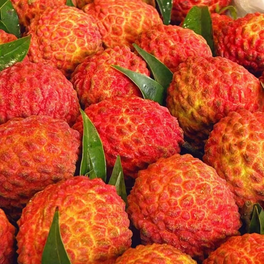 金钻/荔枝王/甜美多滋/2斤宁夏回族自治区