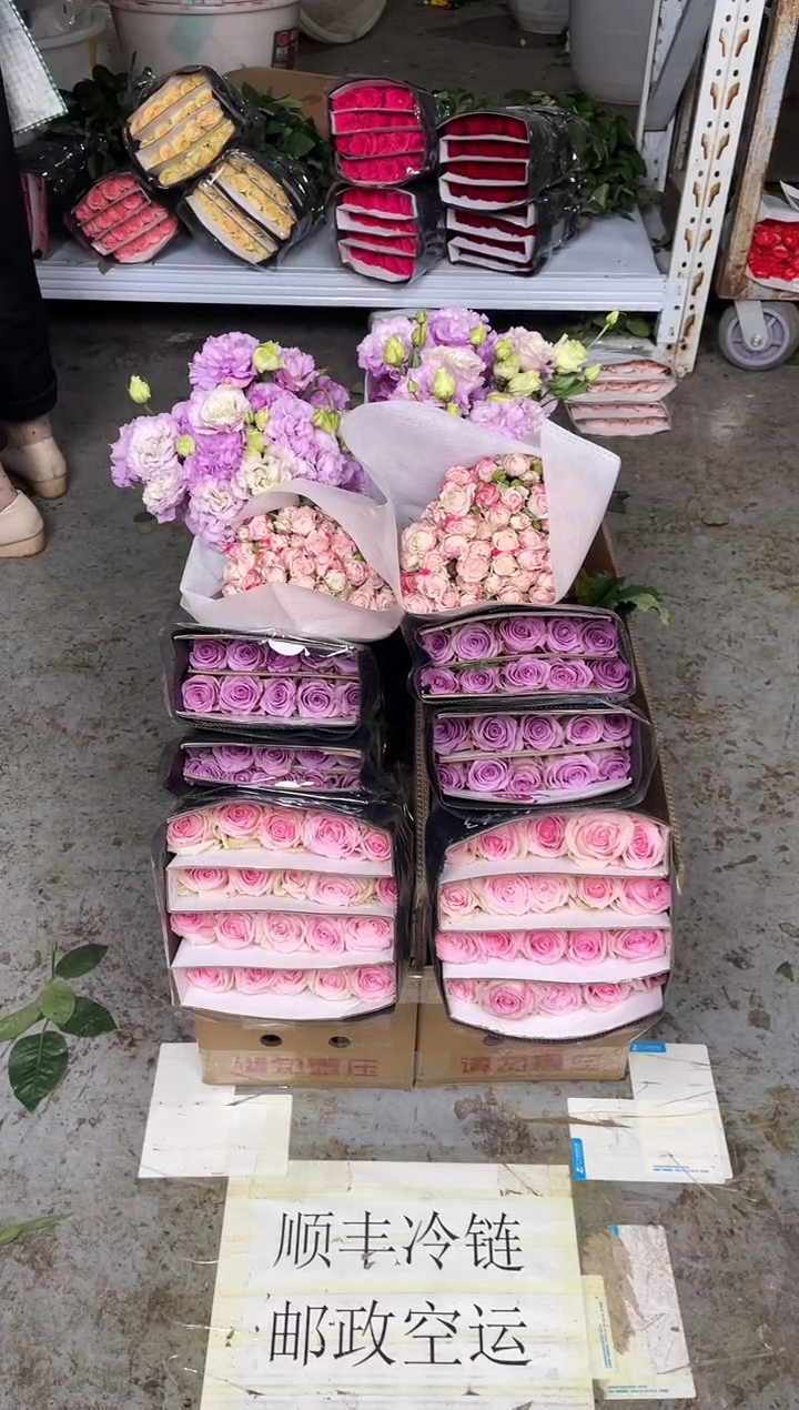 桃红雪山20枝+紫霞20枝+折射10枝+波浪紫桔梗400克