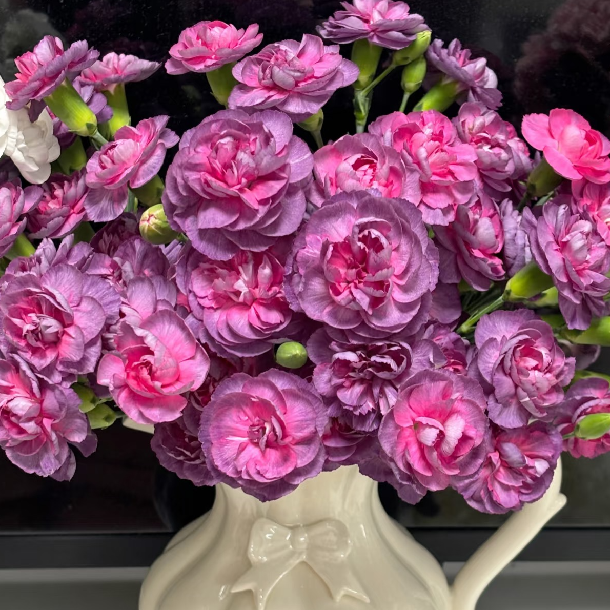 【野马多丁康乃馨】顺丰包邮鲜花次日达花卉插花家庭用花基地