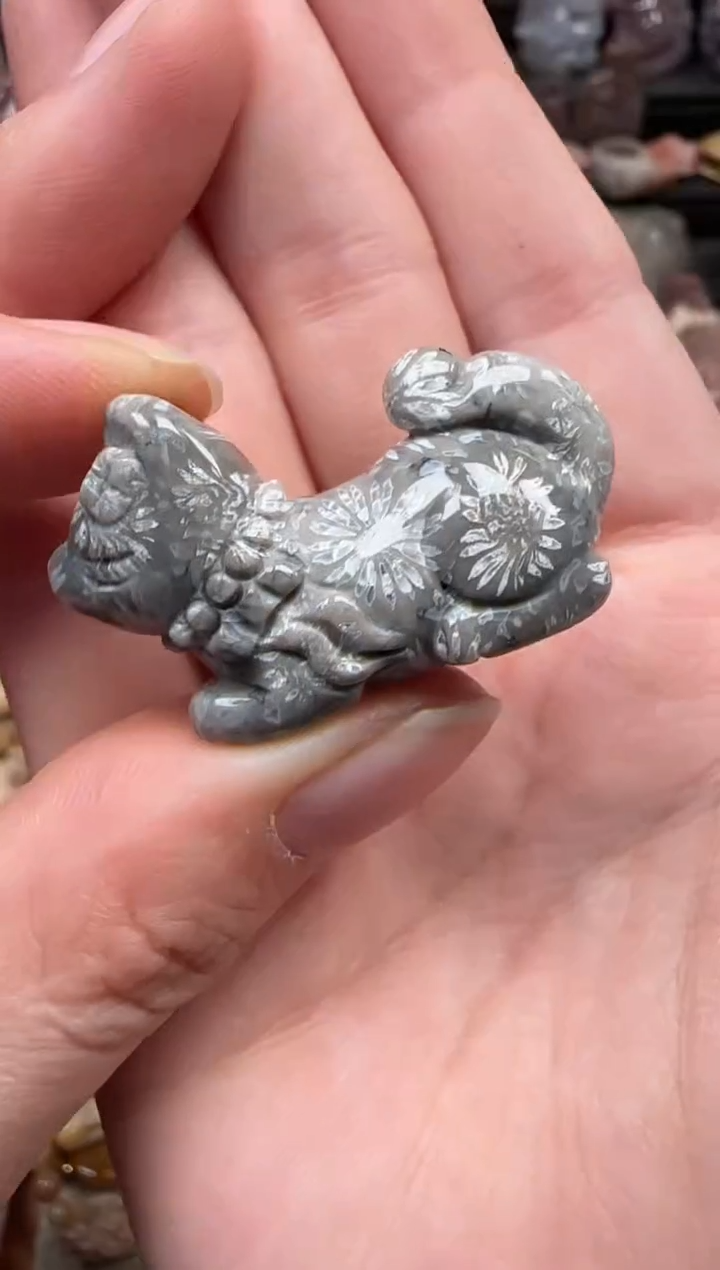 颈饰未镶嵌硅化珊瑚（珊瑚玉）160