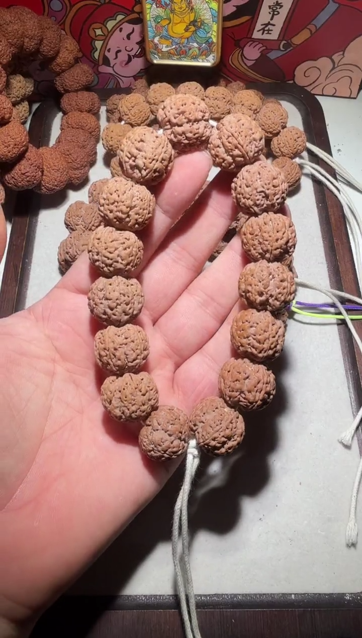 【闪购商品】金刚菩提手串针孔满肉五星蜂王20
