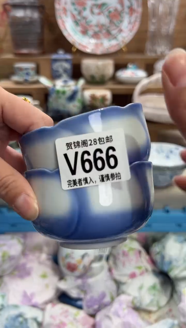 瓷片幼***儿       V666