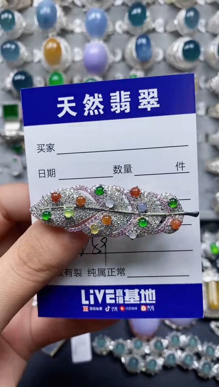 【闪购商品】翡翠颈饰银S925镶嵌0259