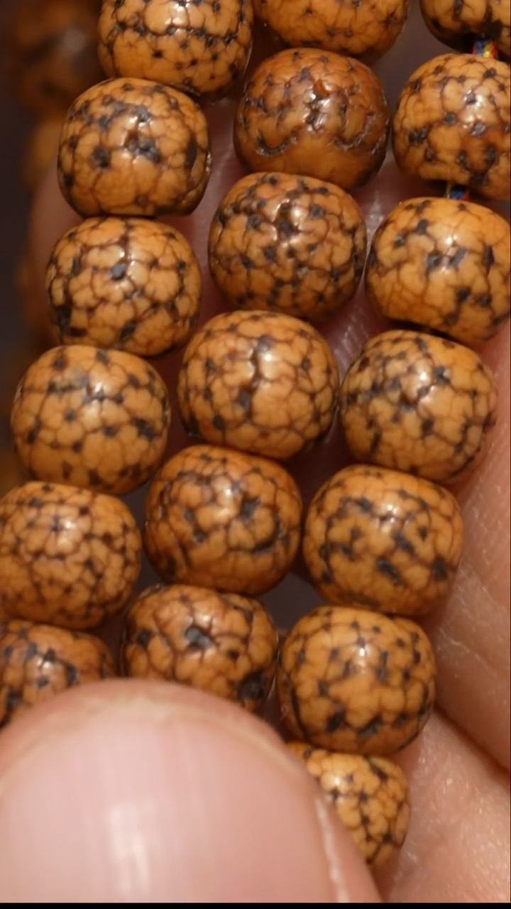 【闪购商品】冲赛康胡子哥，藏传念珠46