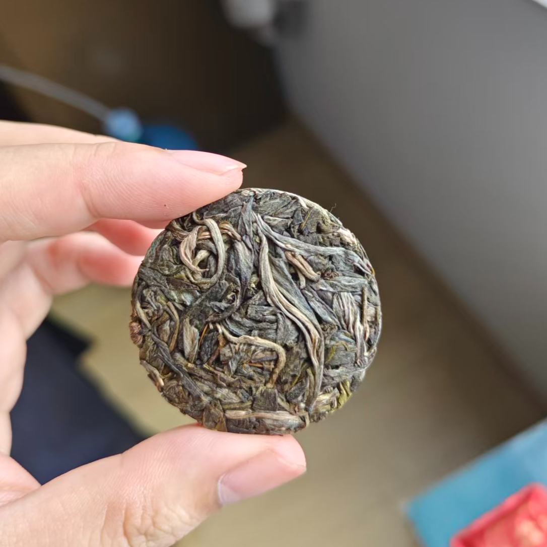 紫云祥2025年黄草林明前头春头采古树生茶（瑕疵）