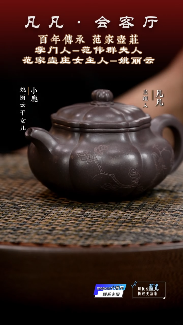 茶壶紫砂凡凡会客厅&姚丽云59 紫砂壶