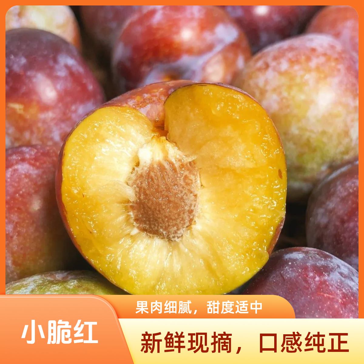 四川脱骨李子小脆红 新鲜现摘 口感端正 现货现发