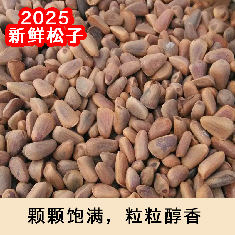 生松子（不开口-大颗粒）塔干子--2025年9月长白山红松子