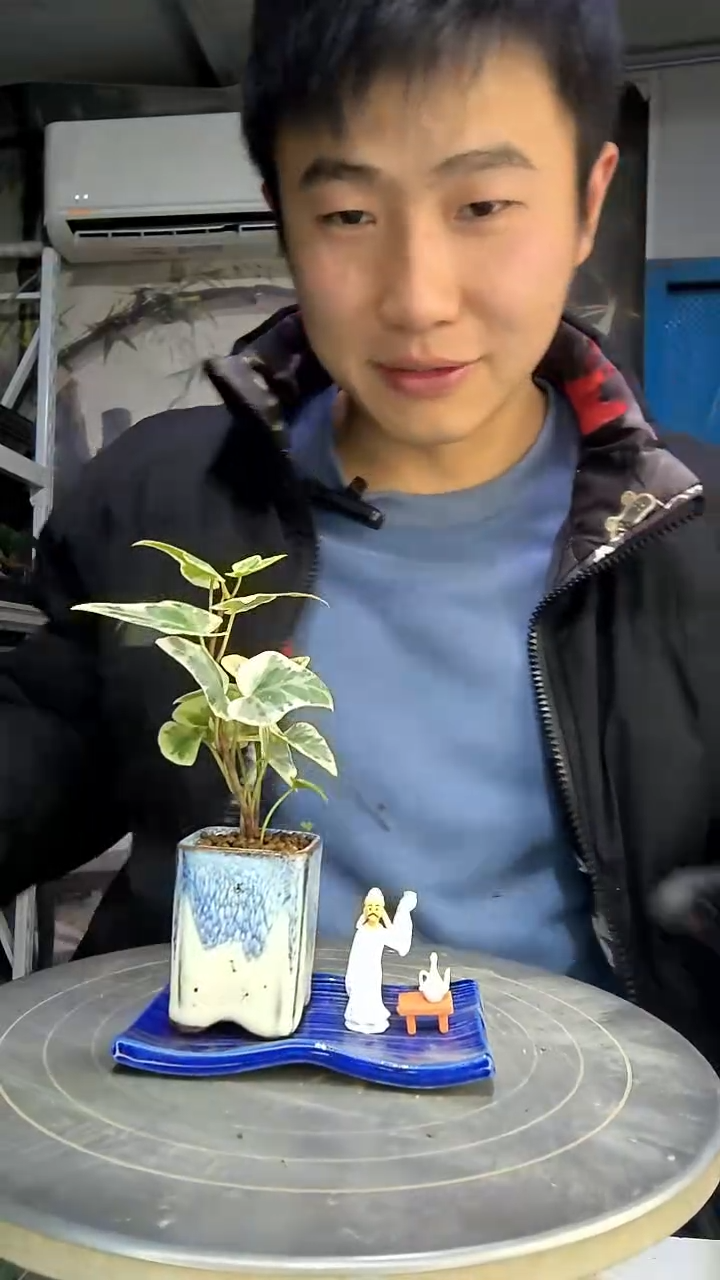 天**福中青园艺一物一拍花59