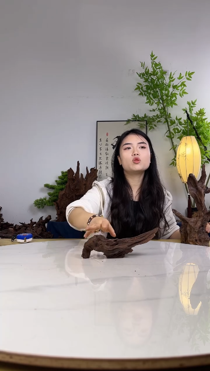 常*拍沉木定向链接编号73