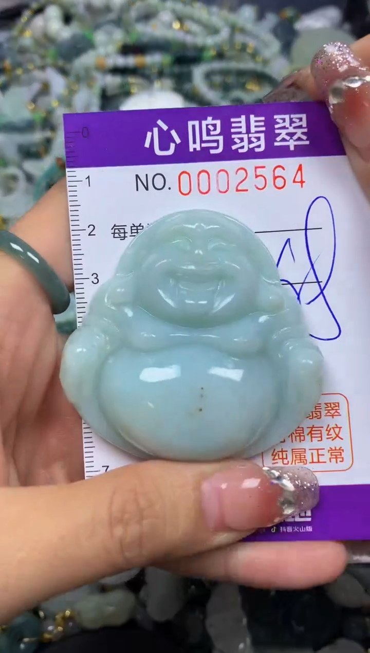 【闪购商品】翡翠颈饰未镶嵌闪购002564