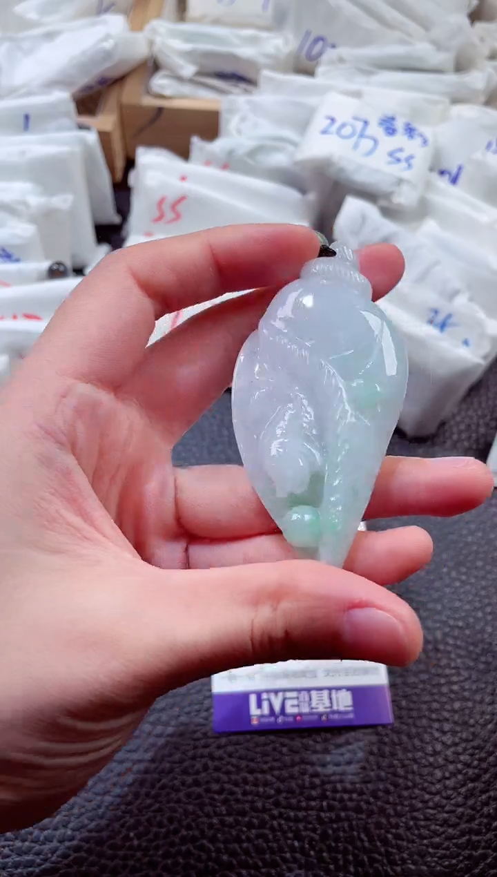 翡翠未镶嵌颈饰00001061