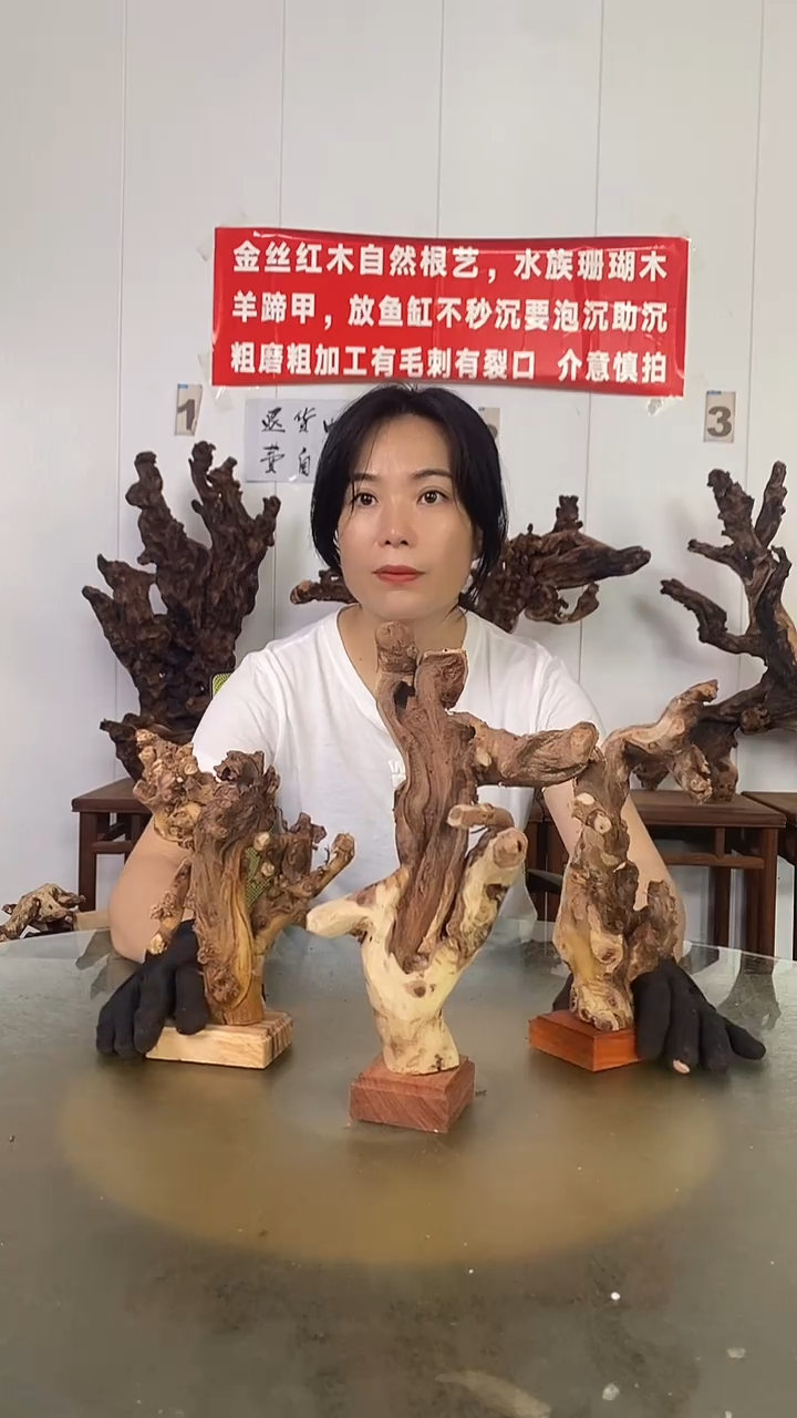 香榧木苏****司金丝红木   羊蹄甲3