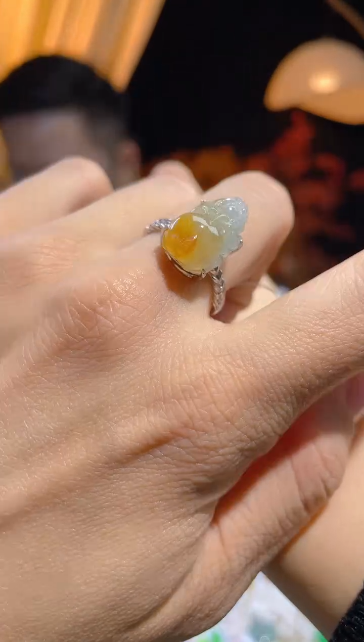 【闪购商品】翡翠颈饰未镶嵌假一赔三