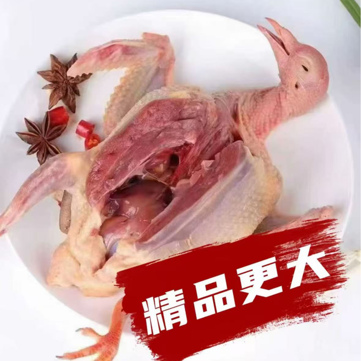 【买4送1】农家散养土鸽子 到手5只 现宰现杀急冻锁鲜 当日顺丰包邮发货 